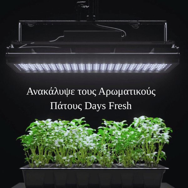 Days Fresh: Η Καινοτομία που Φέρνει Φρεσκάδα στα Παπούτσια Σου – Μοναδική Τεχνολογία Cyclodextrin σε Συνεργασία με το ΕΜΠ