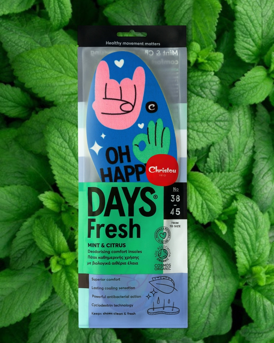 Αρωματικοί Πάτοι παπουτσιών με σχέδια, μπλέ χρώμα