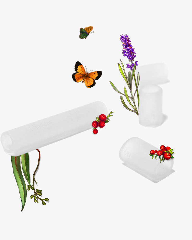 Προστατευτικός Σωλήνας για Κάλους, Φουσκάλες, Μύκητες με BIO Αιθέρια Έλαια