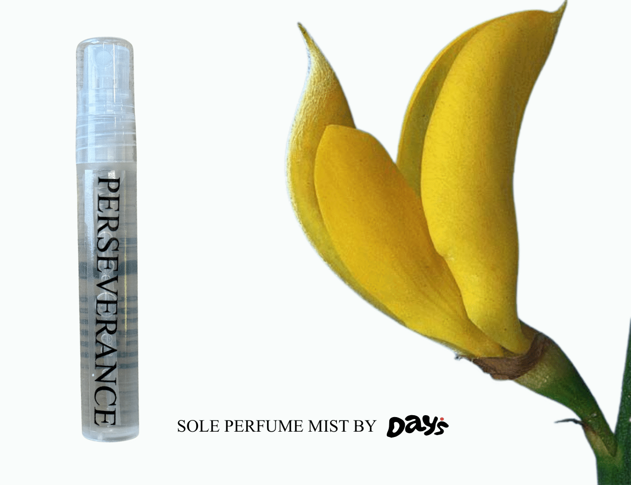 Lunar Αρωματικός Πάτος - Black